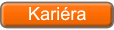 Kariera